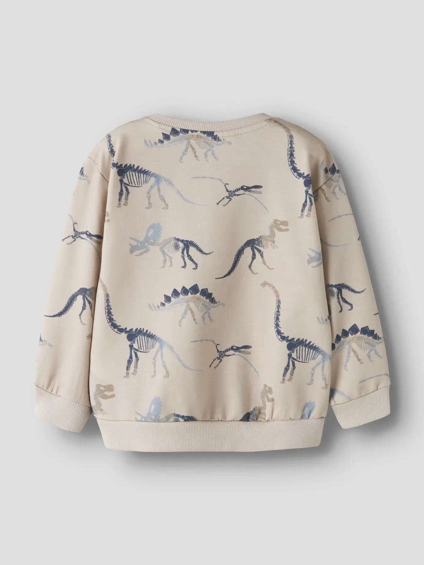 Name It - Sweat med Dinosaur